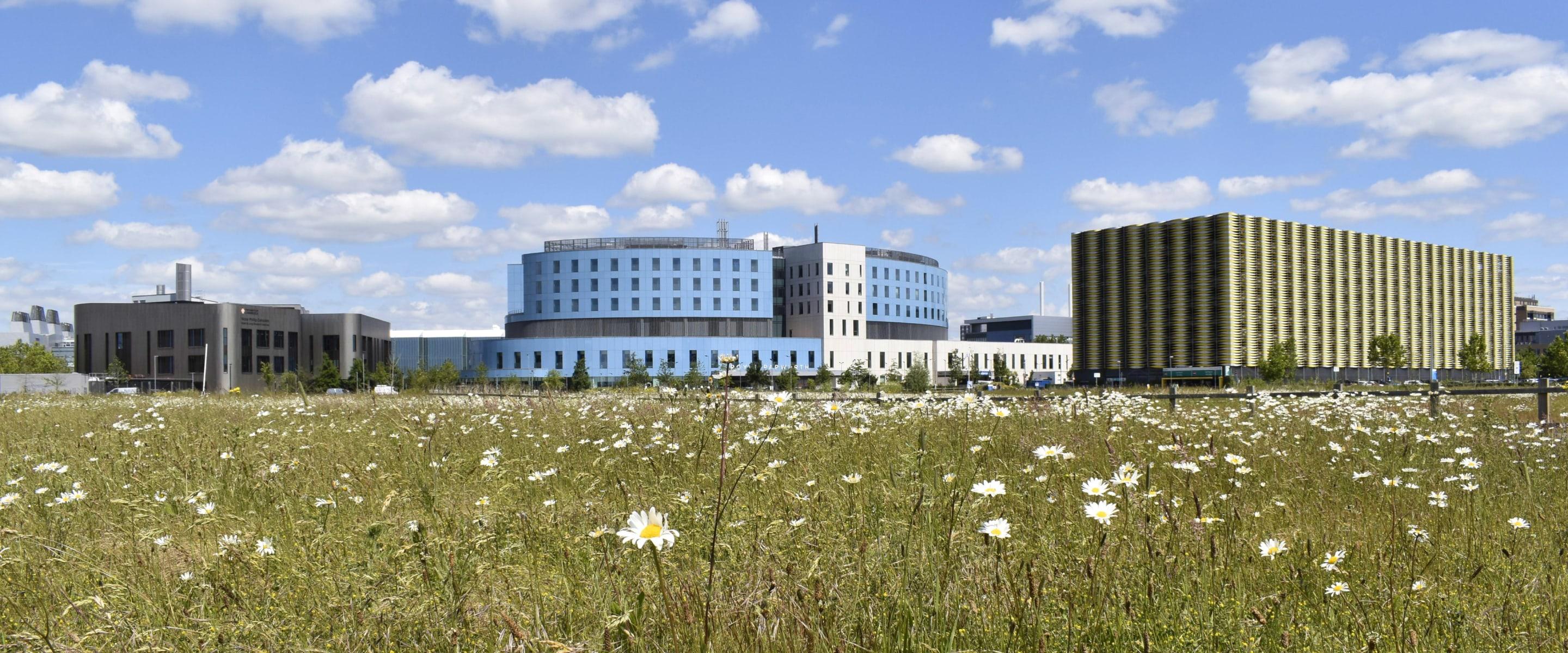Cambridge Biomedical Campus